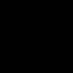 Meet your Posher, Pedro